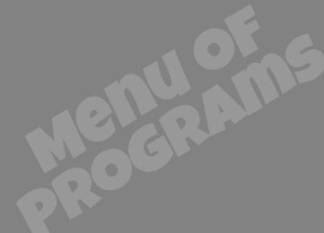 Our Services
